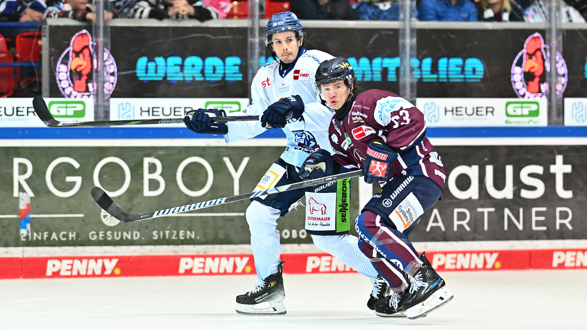 Iserlohn Roosters gg. Straubing Tigers